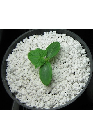 Perlit 20 L Tarım Perliti Köklendirme Perliti Steril Sera Perlit N11.490