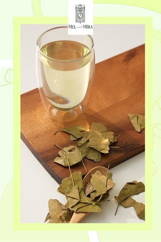 Premium Ginkgo Biloba 65g Mabet Ağacı Yaprağı 1. Kalite
