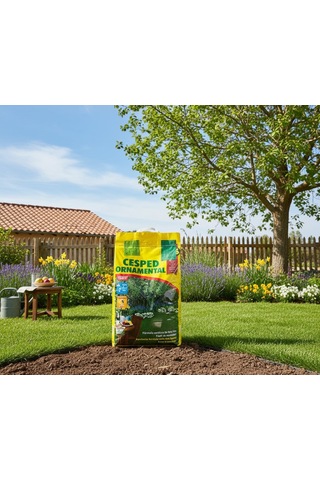 Ornamental Çim Tohumu 5 Kg 1 Paket