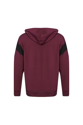Hummel Glex Fermuarlı Hoodıe 922399-3858 Bordo