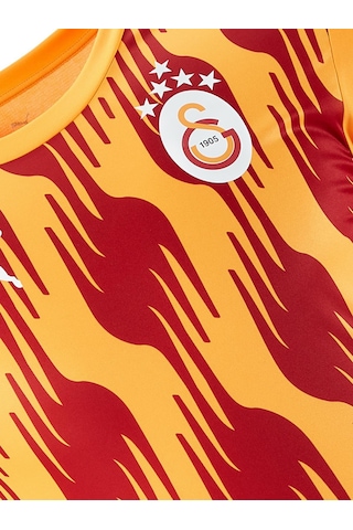 Galatasaray Lisanslı Puma A Takım Sarı - Kırmızı Antreman T-shirt Aslan Ahşap Kutulu 77969304