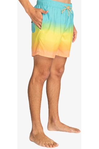 Billabong All Day Fade Lb Erkek Çok Renkli Deniz Şortu Ebyjv00121-64