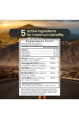 Shilajit Sourced Sea Moss + Lion's Mane Watermelon 60 Gummies