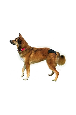 Trixie Hijyenik Köpek Külodu Xl 60-70cm Siyah