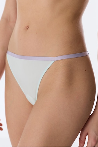 Penti Su Yeşili Micro Lace Dantel Brazilian Külot