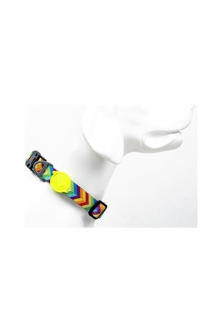 Tailpetz Boyun Tasmaları Large, Raınbow Çok Renkli