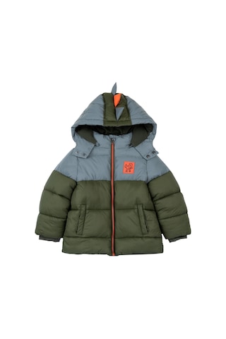 Chicco Mont - Kapısonu Çıkarılabilen 09087839000000 000055 Medıum Green