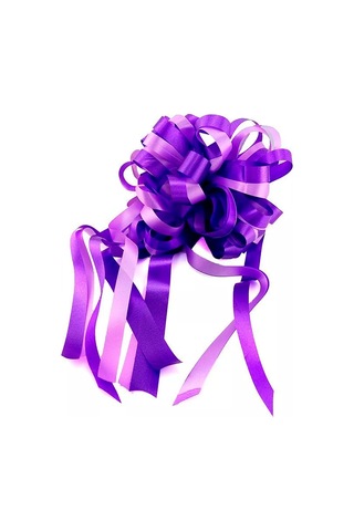 Riota 25 Cm Hediye Fiyonku 197281118