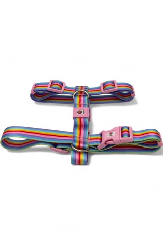 Köpek Tasma Seti Kişiye Özel Künyeli İsimli Tasma Çzgpmb Pembe