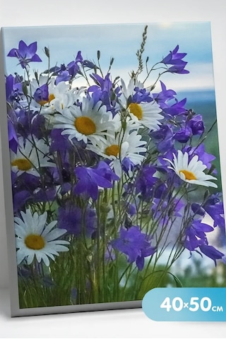 Fluid 40x50 Tuval Üzerine Numaralı Tarla Çiçekleri Tablosu 93288029