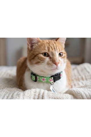 Patibon Galaxy Harmony Kedi Boyun Tasması, Mor, Özel Koleksiyon Diğer