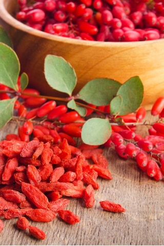 2 Li Goji Berry Fidanı Seti Kolay Yetiştirilen Meyve Çalısı