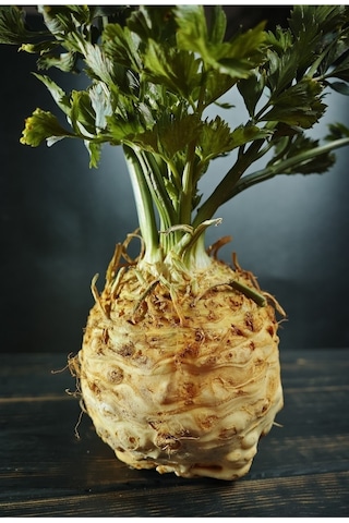 Kök Kereviz Tohumu Giant Prague Celeriac