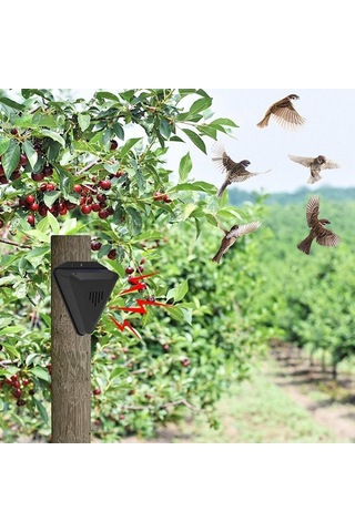 Xindoker Güneş Enerjili N911q Kuş Ve Hayvan Kovucu, Günlük Zamanlı Ses Ve Işık Sistemi İle Bahçe, Balık Havuzu, Padişte Koruyucu - Siyah