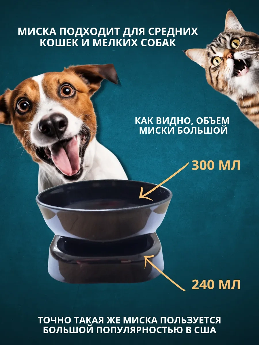 Anticarapki Kedi Kaseleri 300338930