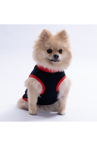 Lacivert Keep Show-ıng Up Tişört Kedi Köpek Tişörtü-kedi Köpek Kıyafeti