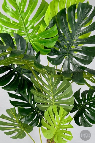 Biçiçek Yapay Monstera Ağacı Deve Tabani 200 Cm Si̇yah Li̇lyum Saksıda