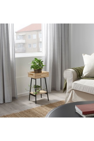 Vaniljstang Çiçeklik, Çam-siyah 10332967