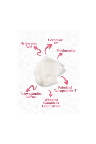 Beauty Squad All Day All Night Peptide Cream - Peptit, 8D Hyaluronik Asit İçeren Nemlendirici Krem - 30 ml