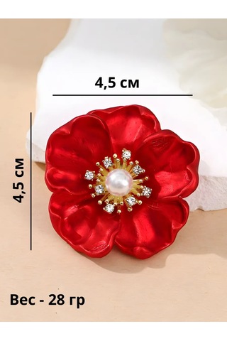 Beautiful Detail Geveze Çiçek Havuç Geveze Havuç Çiçek 225038264 Kırmızı