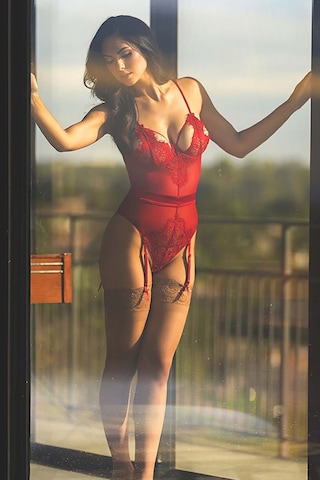 Merry See Fantezi Jartiyer Takım+ Çorap Hediyeli Kırmızı