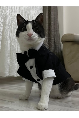 Gobo Papyonlu Smokin Damatlık Kedi Köpek Giyim Takım Elbise
