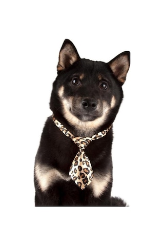 Show Tech Kedi Köpek Desenli Kravat Aksesuar 10 Adetli Paket