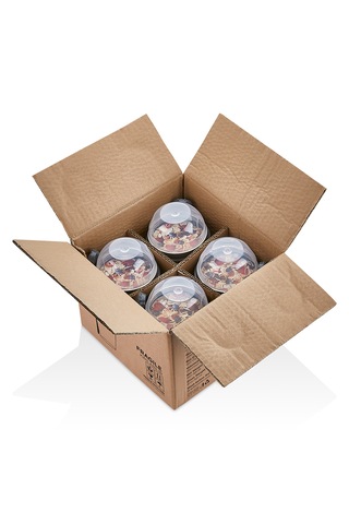 4 Adet Taşınabilir Kaşıklı Yoğurt Kabı 600 Ml + 200 Ml Saklama Haznesi Taşınabilir Beslenme Kabı Şeffaf