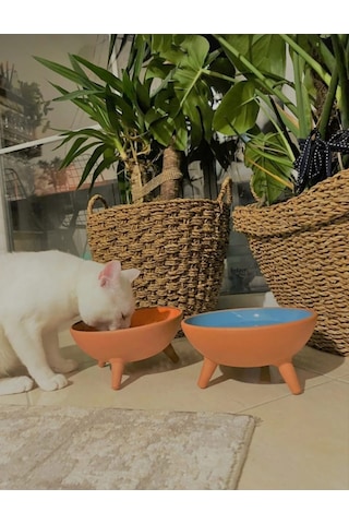 Ath Store Çömlek Kedi Köpek Mama Su Kabı Ayaklı Sırlı 2'li 20 CM