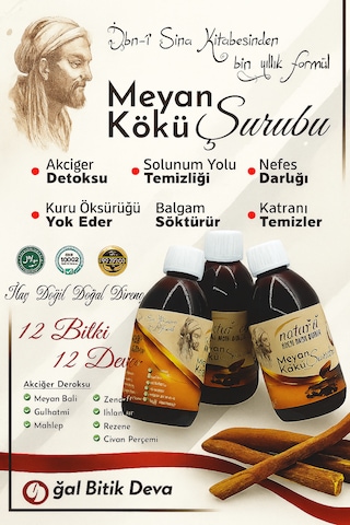 Natur'el Meyan Kökü Şurubu