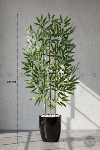 Biçiçek 110 Cm Bambu Ağacı Siyah Yakut Saksıda