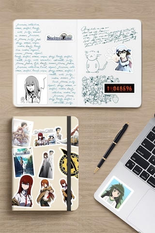 Steins Gate Anime Sticker Paketi 20 Adet Çok Renkli