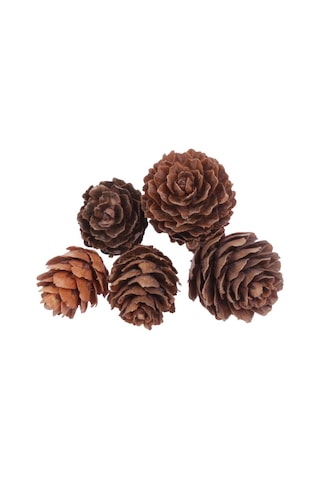 Naturel Kozalak 3x2 Cm 1/2 Kg 250'li Diğer