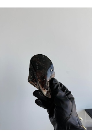Deniz Kabuğu Tek İncili Pteria Penguin Sedefli Dekoratif Kabuk 7-9 Cm 1 Adet Genel
