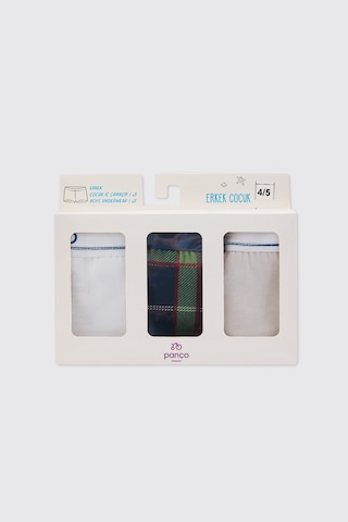 Panço Erkek Çocuk 3'lü Boxer Seti Renkli