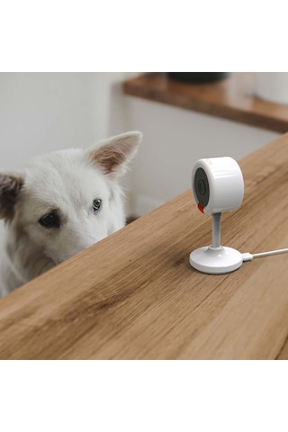 Bilicra Iris Mini 3mp Akıllı Kamera