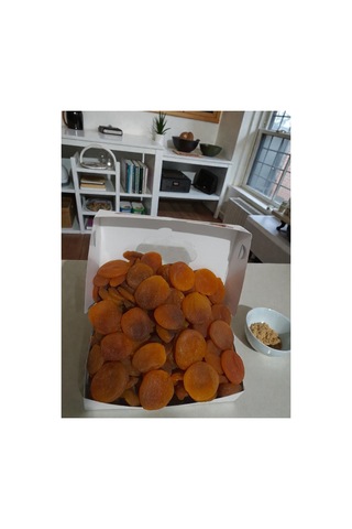 Düşük Sarı Malatya Kayısısı Taze Yeni Mahsul Jumbo Ekonomik 1 Kg Diğer