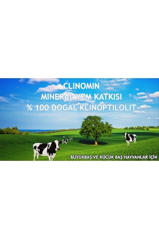 Zeolit Hayvan Yem Katkısı 25 KG