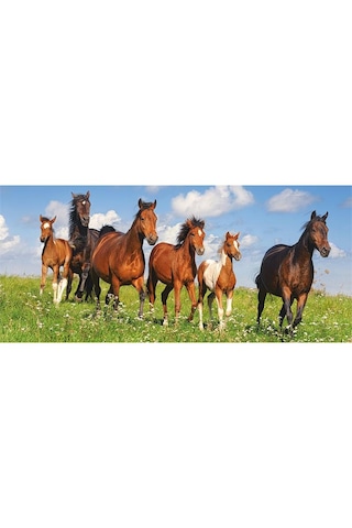 Castorland 600 Parça At Cenneti Panorama Puzzle