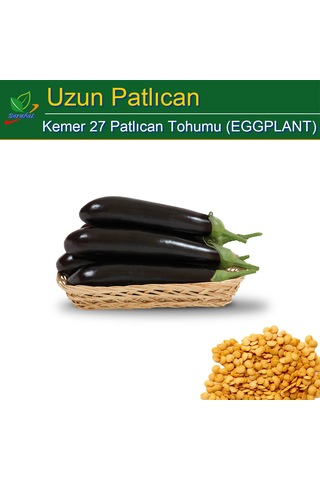 Uzun Kemer Patlıcan Tohumu 1000 Adet