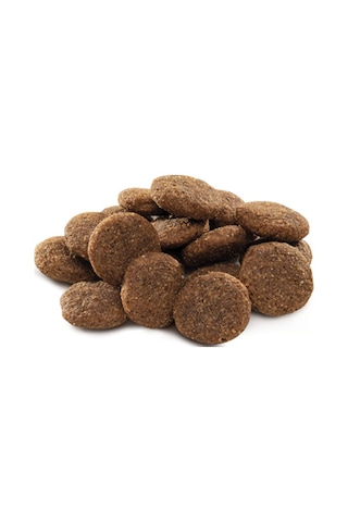 Brit Premium By Nature Büyük Irk Yetişkin Köpekler İçin, Tavuk Etli Kuru Mama 15 Kg