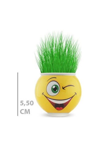 Veraura Lifestyle Çim Adam Saksı Emoji Figürlü 1 Adet Sarı