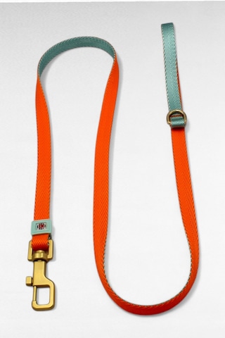 Caramelos Köpek Gezdirme Tasma Kayışı Yüksek Mukavemetli Tasma Halatı Gezdirme Ipi Bedenli Turuncu