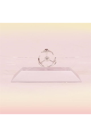 Zmc Bilişim Dekoratif Masa Üstü Obje Manyetik Kinetik Orbital Dönen Yunuslar