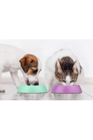 Mikopet Büyük Yuvarlak Mama Kabı