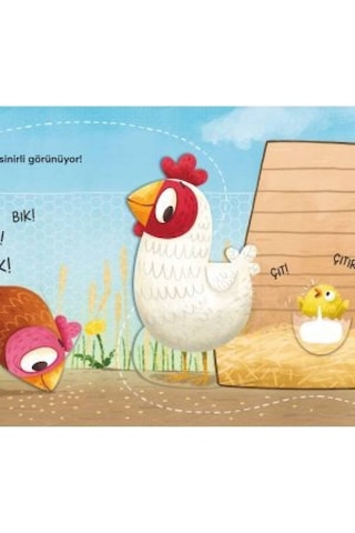 Eolo Aç Bak Serisi - Çiftlik