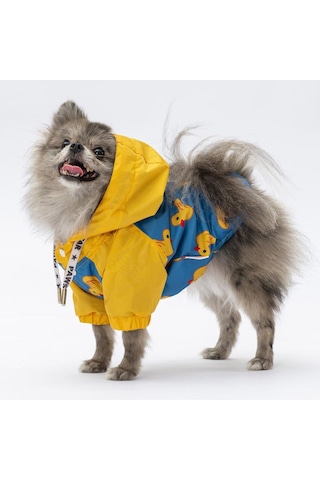 Pawstar Pekin Yağmurluk Küçük Ve Orta Irk