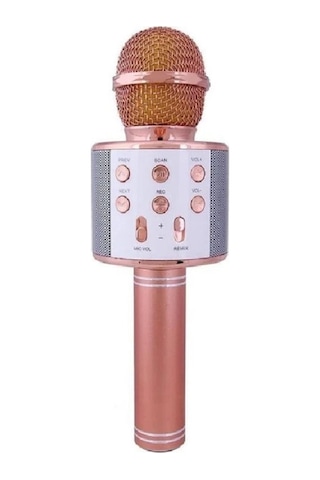 Leerfei Lf-858 Kablosuz Mikrofon Hoparlör