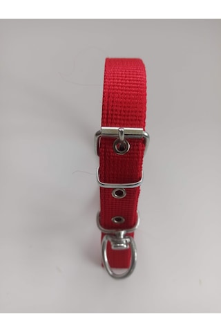 Kozaklı Küçük Irk Köpek Tasması Kırmızı 50 x 2.5 CM Kırmızı