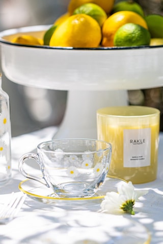 Rakle Fiona 2'li Çay Fincanı Seti 240 Cc Çok Renkli